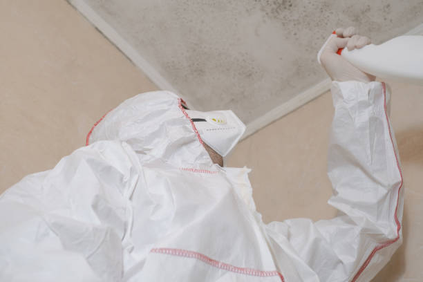 Best Local Mold Removal Service  in Pottstown, PA