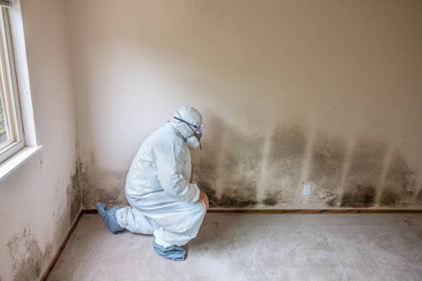 Best Home Mold Removal  in Pottstown, PA