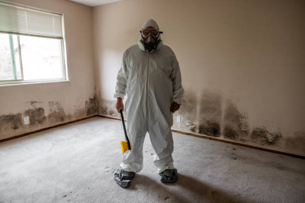 Best Fast Mold Removal  in Pottstown, PA